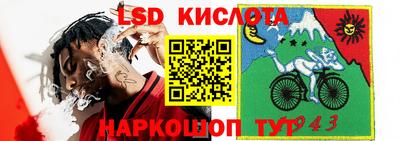 молекула духа Кулебаки