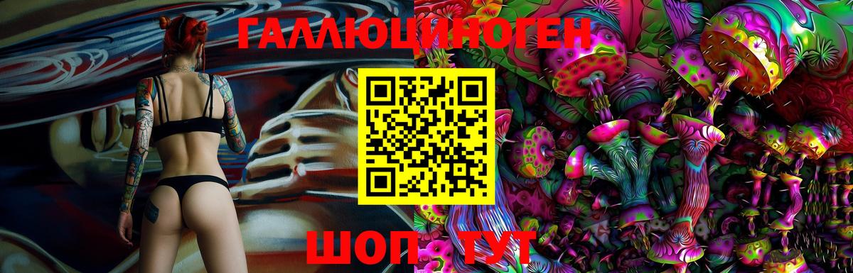 Качканар  Галлюциногенные грибы Cubensis  Вход с VPN 