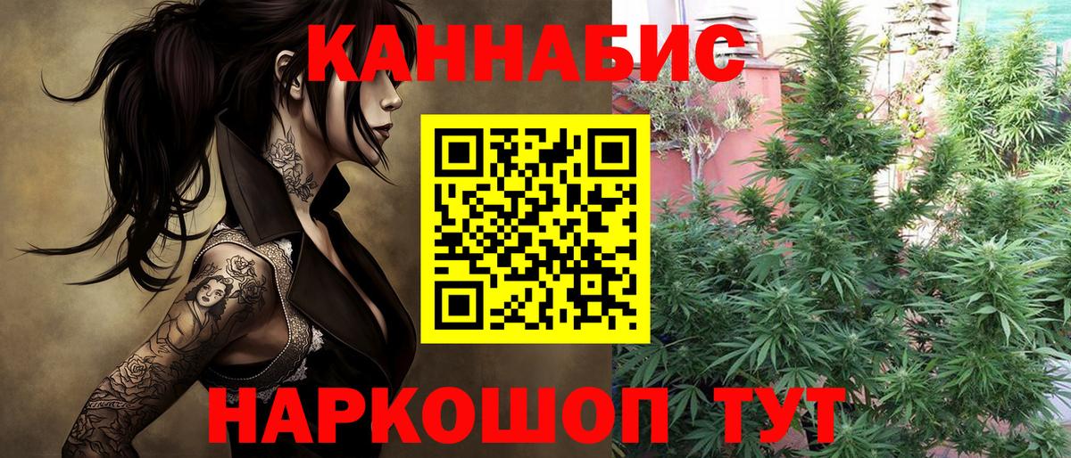 Бошки марихуана OG Kush Качканар